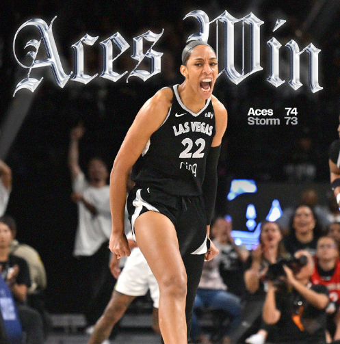 是盛赞威尔 是盛赞威尔